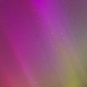 ladyofmymanor's profile picture. Mother Wife Woman (Adult Human Female) | Anti-Woke | Leftie Loons don't bother instant 🚫 | Unsolicited DMs 🚫 | 🏴󠁧󠁢󠁥󠁮󠁧󠁿 🇬🇧