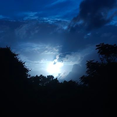 NWSLLaMA4ARCHI's profile picture. 