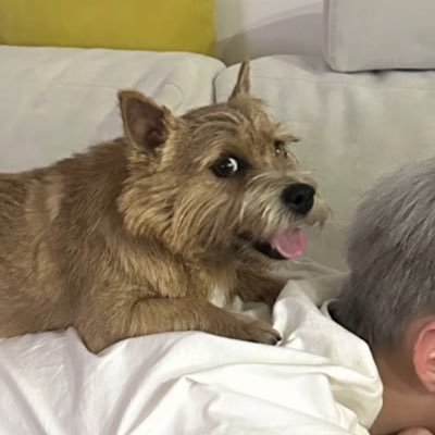 horanghae_mp3's profile picture. blender練習 ドカ初心者