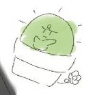 しちみさんのプロフィール画像