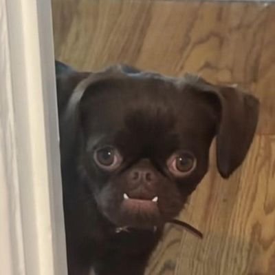 KietiyotT99214's profile picture. 