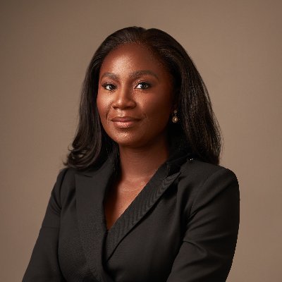 Special Adviser to the President on Energy (Nigeria) | Africa Energy Expert | Advocate For Underrepresented Groups
https://t.co/a1Y7oL65C6