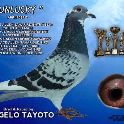 newgame005's profile picture. 