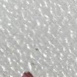 _thomatoes's profile picture. 