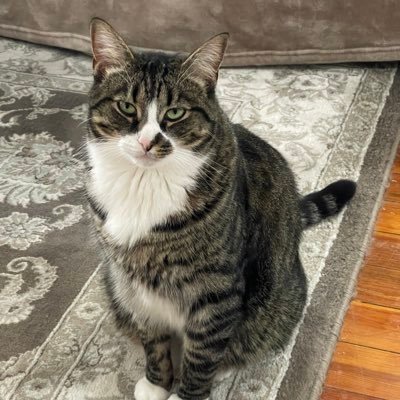 machboston's profile picture. 