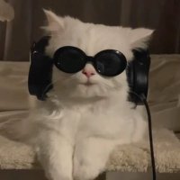 госпоче🩰 (@lil_princi) 's Twitter Profile Photo