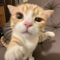 k !! π (@r3dg0dm) 's Twitter Profile
