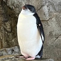 山ユウ (@study_yamamoto) 's Twitter Profile