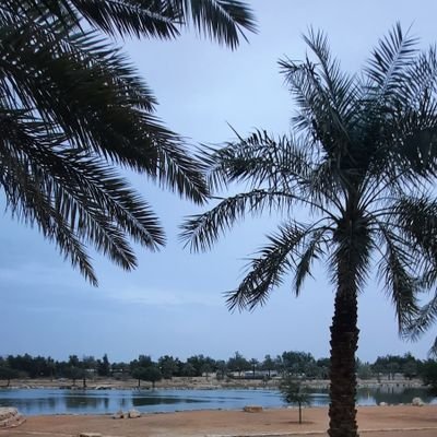 سبحان الله وبحمده عدد خلقه ورضا نفسه وزنة عرشه ومداد كلماته