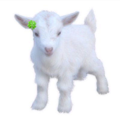 らちゃんさんのプロフィール画像