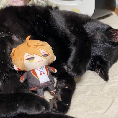 休日さんのプロフィール画像