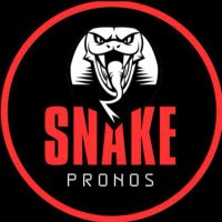 Snake Bet ⚽️ (@snakebetoff) 's Twitter Profile