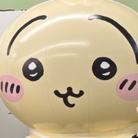さゆ (@_sayuchama) 's Twitter Profile
