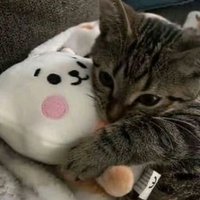SARA ZH (@jenny_john4089) 's Twitter Profile