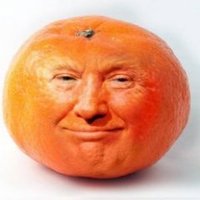 DonOrange47🇺🇸🍊 (@donorange47) 's Twitter Profile