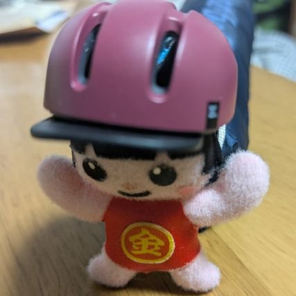 自転車旅/ブルベ/マンホールカード/TOMOO/トライアスロン/ウルトラマラソン/2児のおとさん/あらふぉ/映画/仕事愚痴etc