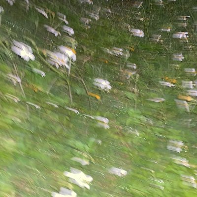 enen9456's profile picture. 04😶 我是男的🙃異性戀