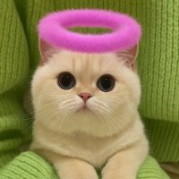 Mcever Celeste ๐ $MON (@mceverc49278) 's Twitter Profile