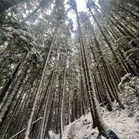 أبو العرباض (@karlosrahi91737) 's Twitter Profile