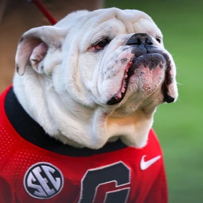 scalemanFL's profile picture. Veteran and Braves n DAWGS Lover