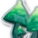 Fungus with a Bさんのプロフィール画像
