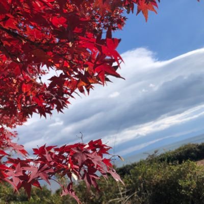 旅館・ホテルをメインで、その他テキトーにポストしています。
https://t.co/eoejADuCUZ