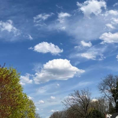 Yjg_oo's profile picture. 