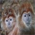 Leora Cassin (@cassinleor35026) Twitter profile photo Leora Cassin (@cassinleor35026) Twitter profile photo
