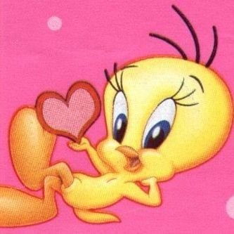 seaoona's profile picture. the show must go on