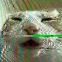 cosmo (@cogmug) 's Twitter Profile Photo