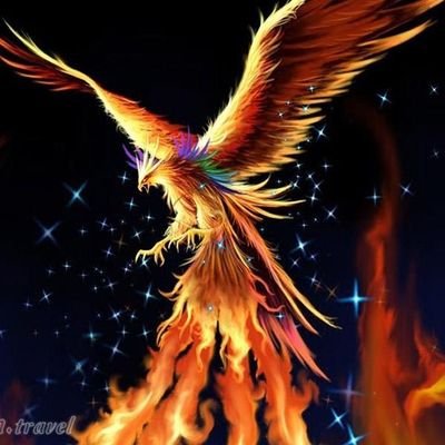اللهم عجل لولیک الفرج. دعا کنیم تا آخر عمر ولایتمدار باشیم. رمز عاقبت به خیری در همینه و بس.