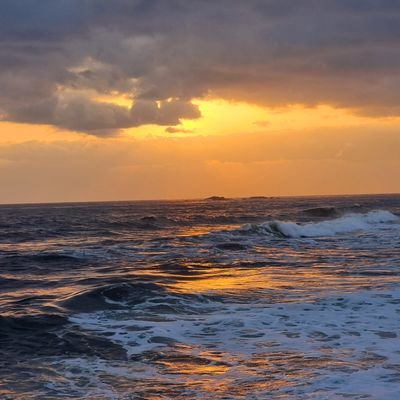 CQCQ06's profile picture. 