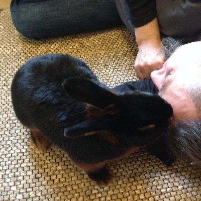 WWH2KTA's profile picture. UCC-1 #2025023588 #2025025325
now globally enforceable