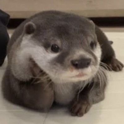 spicyldrrn's profile picture. 🖤