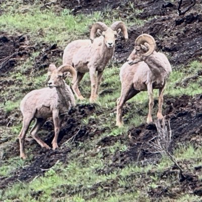 Maxy_B_Trades's profile picture. To win, One must play.