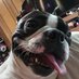 Jedidiah Romeus Berwinkle Bowshanks (@josh39142749412) Twitter profile photo Jedidiah Romeus Berwinkle Bowshanks (@josh39142749412) Twitter profile photo