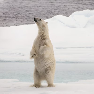 Mico19276372's profile picture. 