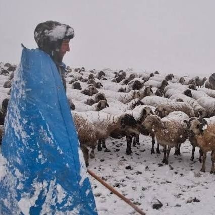 Doğa olmazsa hayat olmaz ben olmam sen olmazsın yaşam biter.
