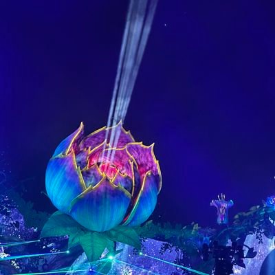 Kelv_21's profile picture. Stars can't shine without darkness.