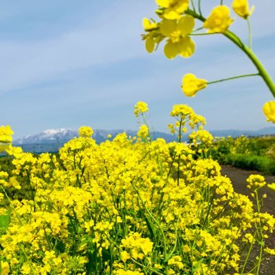 CmGutti's profile picture. 