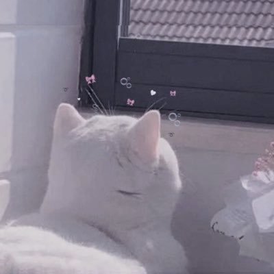 𝑜𝑘𝑎𝑦𝑢𝑦𝑢さんのプロフィール画像