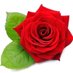Khadija Muhammed (@khadijaturh0) Twitter profile photo Khadija Muhammed (@khadijaturh0) Twitter profile photo