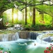 AliaKhatun56544's profile picture. 