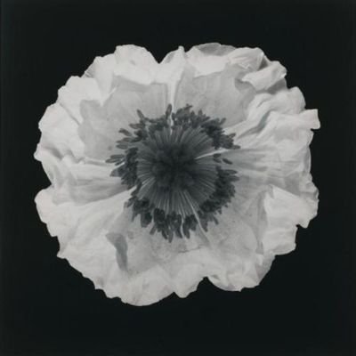 CDPACI's profile picture. 🇨🇵🇮🇹🇬🇷