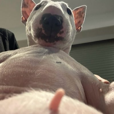 Jofzi_'s profile picture. 