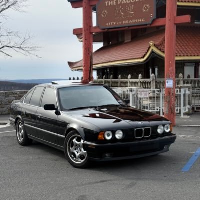 Vylants's profile picture. ¥ 22 ¥