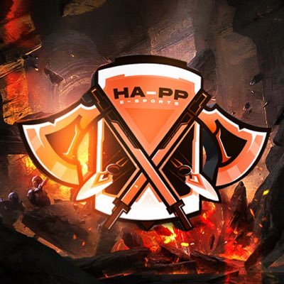 HA-PP Organisation Profile