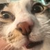 Stubble56 (@stubble56) Twitter profile photo Stubble56 (@stubble56) Twitter profile photo