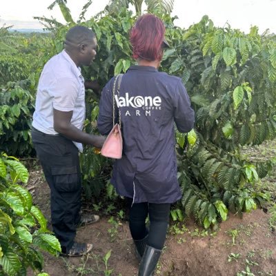 kakonegroup's profile picture. Agribusiness; agroprocessing mainly dealing in coffee, cereals and grains. A coffee farmer in Mubende district.