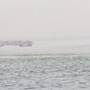 Greenlite230's profile picture. 